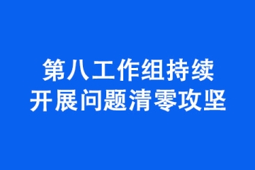 第八工作组持续开展问题清零攻坚