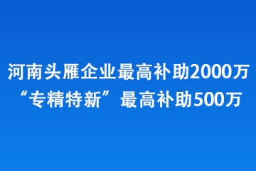 河南头雁企业最高补助2000万、“专精特新”最高补助500万 