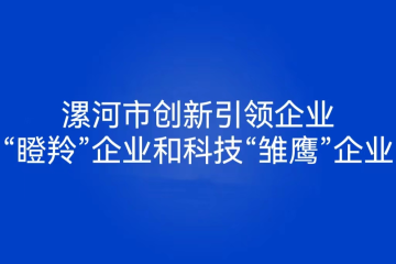 2022年漯河市创新引领型企业政策