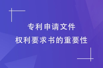 专利申请文件中的权利要求书有多重要？