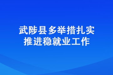 武陟县多举措扎实推进稳就业工作