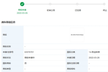 华为技术有限公司申请注册“HUAWEI WATCH Buds”商标
