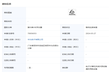 华为技术有限公司申请注册“华为云山”图形商标