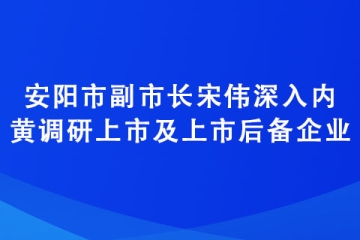 安阳市副市长宋伟深入内黄调研上市及上市后备企业