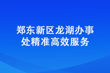 郑东新区龙湖办事处精准高效服务