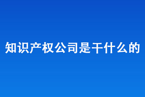 知识产权公司是干什么的