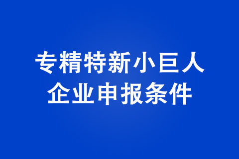 2022年专精特新小巨人企业申报条件