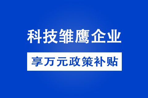 郑州市科技雏鹰企业认定方式