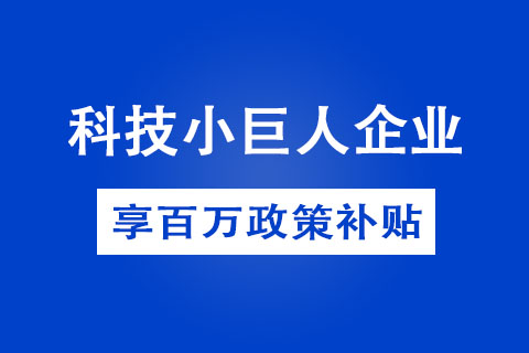 郑州市科技小巨人企业认定方式