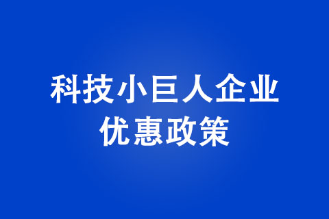 郑州市科技小巨人企业优惠政策