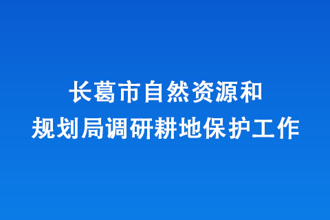 长葛市自然资源和规划局调研耕地保护工作