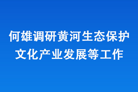 何雄调研黄河生态保护文化产业发展等工作