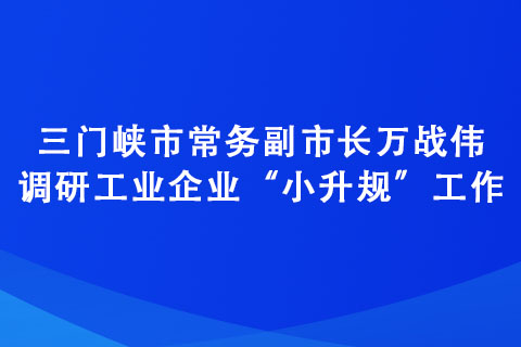 三门峡市常务副市长万战伟调研工业企业“小升规”工作