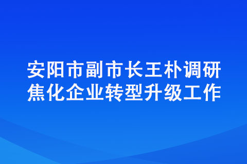 安阳市副市长王朴调研焦化企业转型升级工作