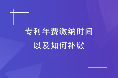 专利年费缴纳时间