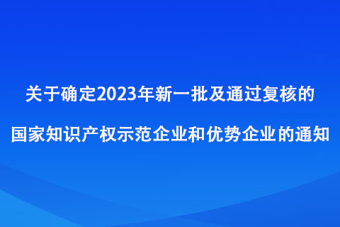 2023年新一批及通过复核的国家知识产权示范企业和优势企业名单